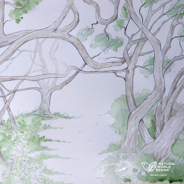 3-Wildlife board for Curiodyssey–sketch of the woodland2-artwork by Aga Grandowicz / Natural World Design