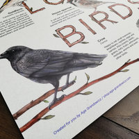 Info board featuring a selection of European birds – artwork by Aga Grandowicz