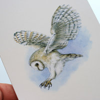 Greeting card, A5 folded to A6, with wildlife illustration of a barn owl (2).