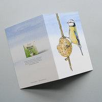 A6 CARD – feeding blue tit – illustration from 'Blue tit chick'_open
