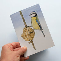 A6 CARD – feeding blue tit – illustration from 'Blue tit chick'