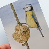 A6 CARD – feeding blue tit – illustration from 'Blue tit chick'_closeup