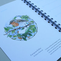 European-Birds-Diary-by-Aga-Grandowicz_January_Robin.