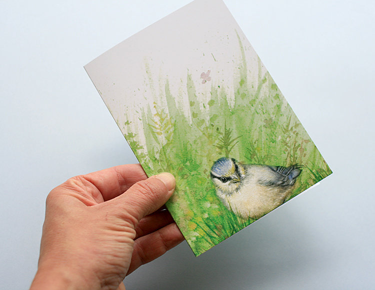 A6 CARD – blue tit chick – front.