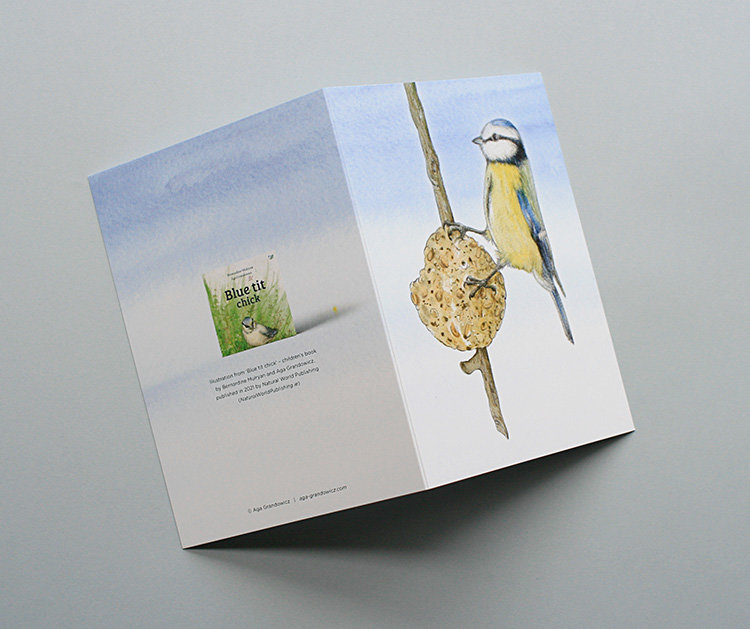 A6 CARD – feeding blue tit – illustration from 'Blue tit chick'_open