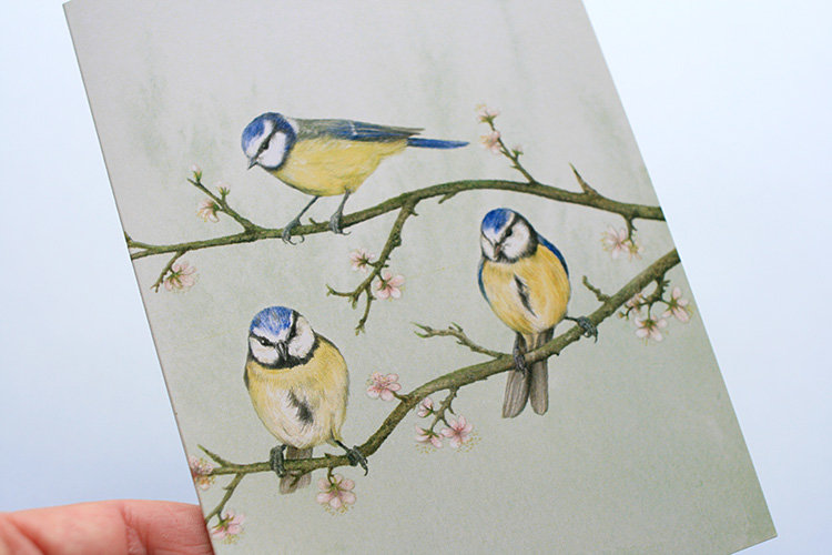 A6 CARD – blue tits sitting on a tree branch_front_close-up.