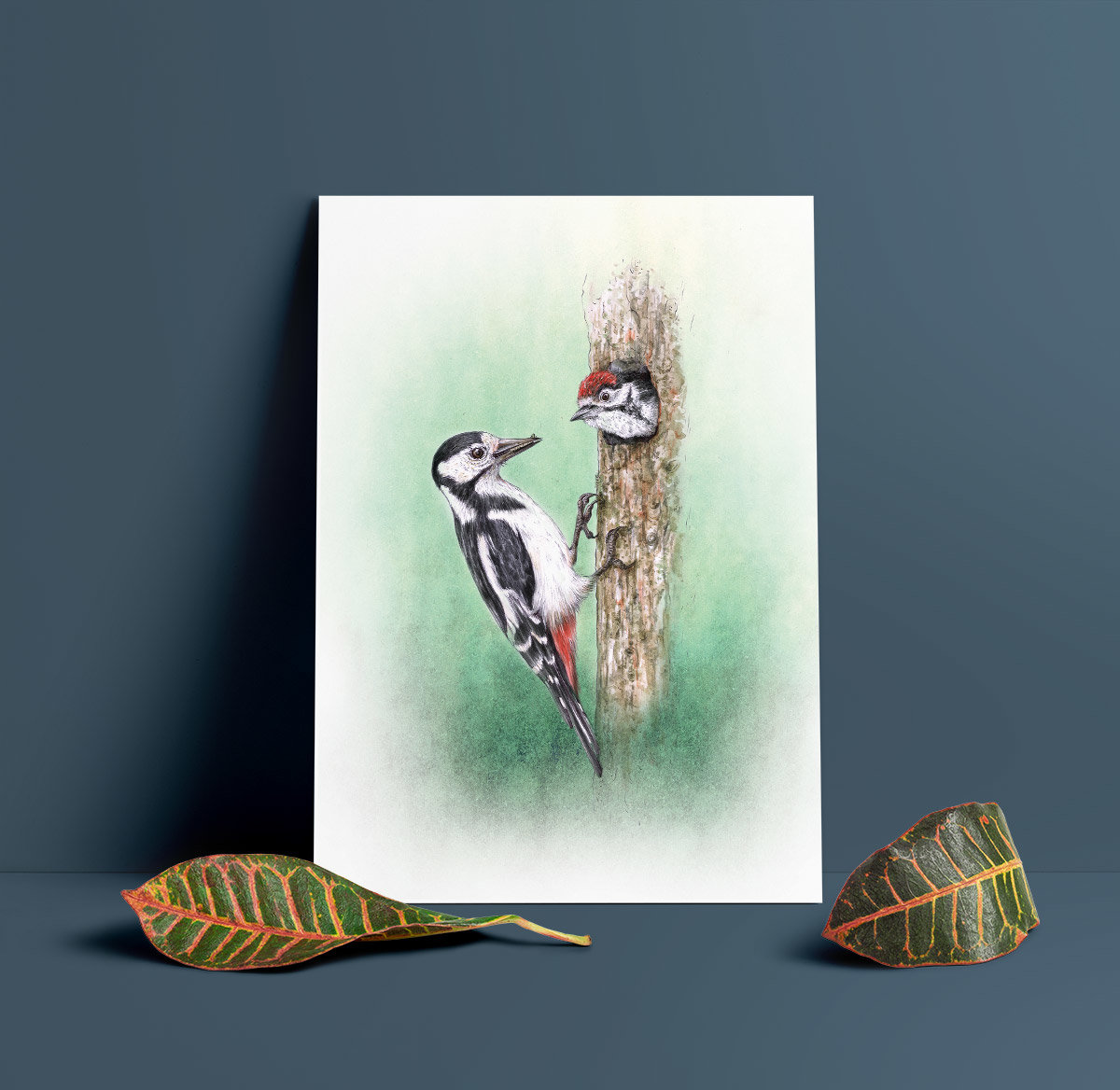Great spotted woodpecker – A4 art prints by Aga Grandowicz.