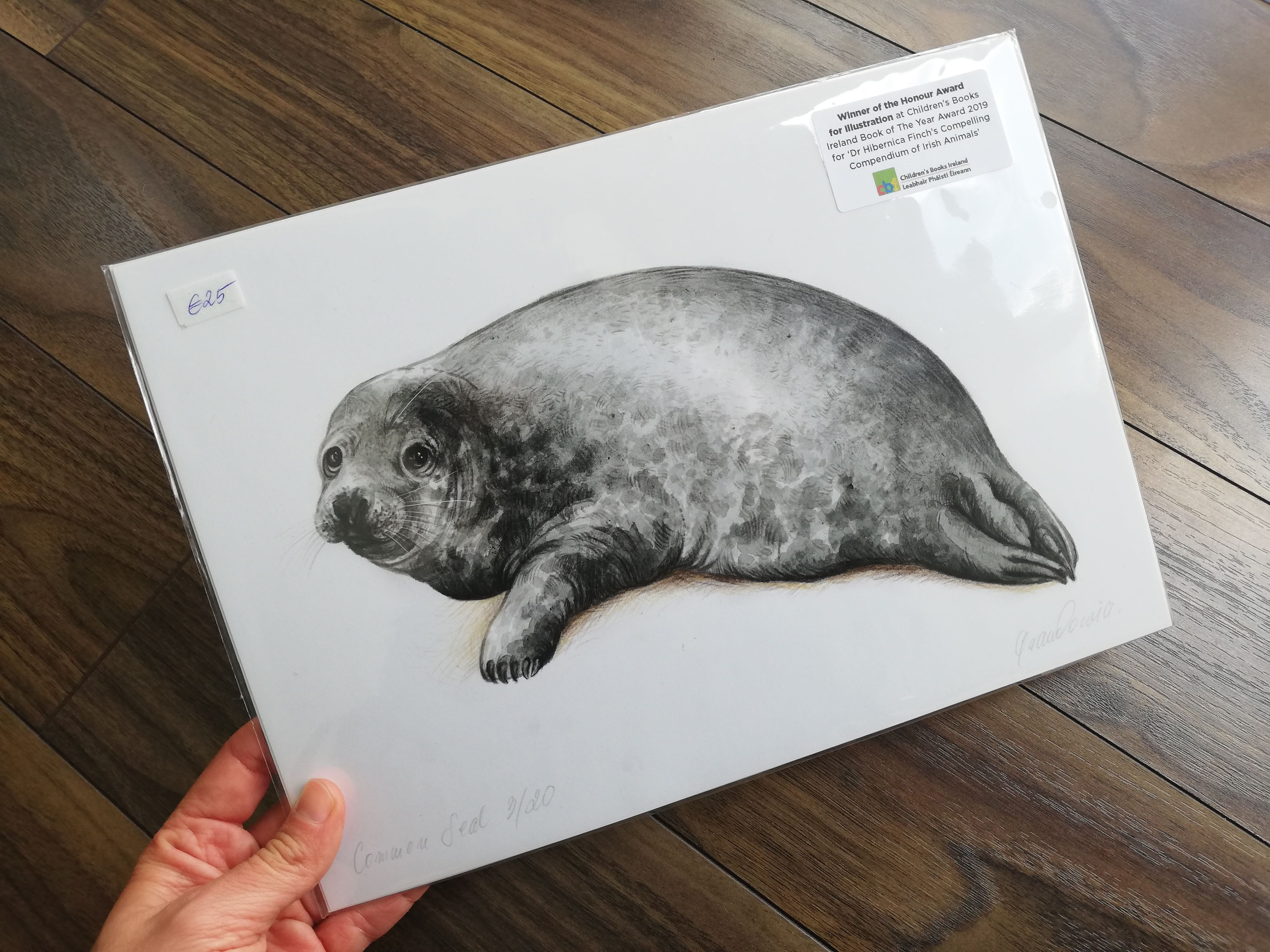 Seal, Wildlife illustration, A4 fine art print by Aga Grandowicz