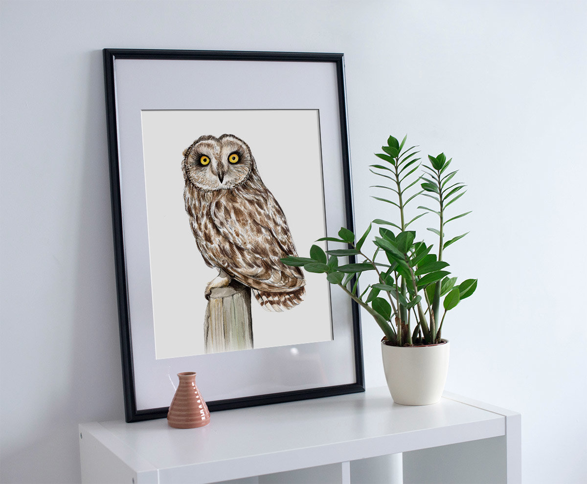Short-eared owl – A4 fine art prints, limited edition for eachby Aga Grandowicz