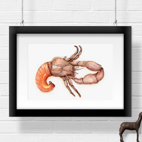 Hermit crab – original artwork by Aga Grandowicz