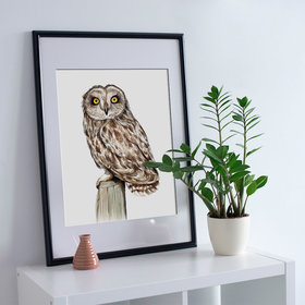 Short-eared owl – A4 fine art prints, limited edition for eachby Aga Grandowicz