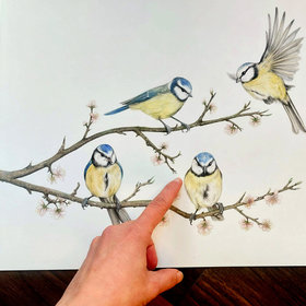Blue tits on a blossom branch – original watercolour painting