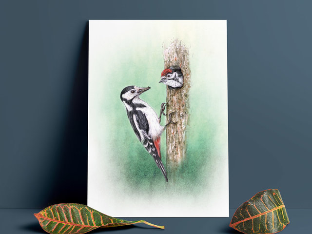 Great spotted woodpecker – A4 art prints by Aga Grandowicz.