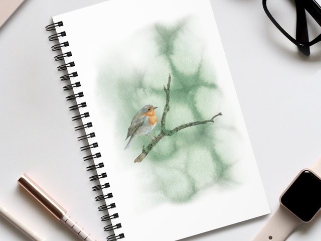 Robin on a branch – Spiral Journal (EU)
