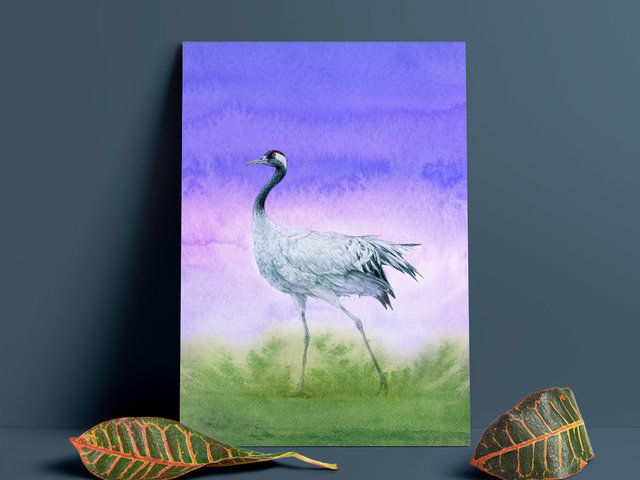 Common crane – Giclée Art Print